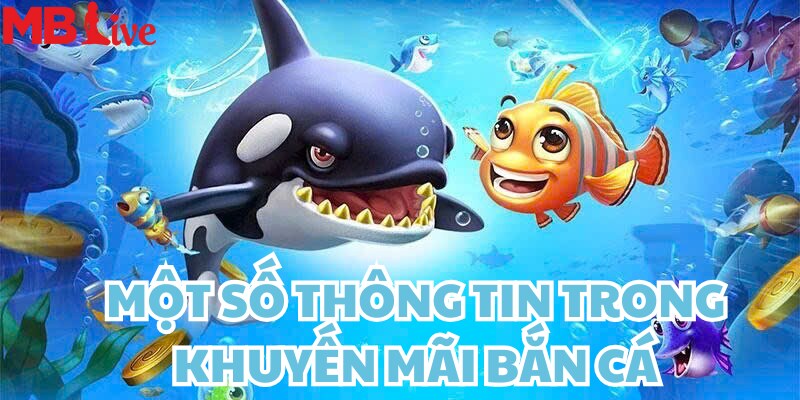 Những thông tin bạn sẽ cần trong chương trình khuyến mãi